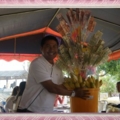 IMGP0226