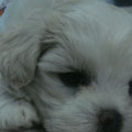 lucky