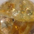 kn2
