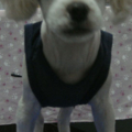 newlucky1