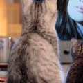 PhotoFunia 9639