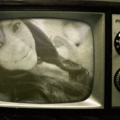 PhotoFunia 920f