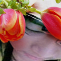 FunPhotoBox 7320114301129