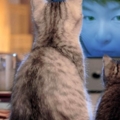 PhotoFunia 3c672