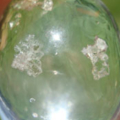 nn8