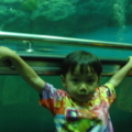 DSC03941