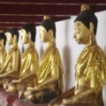วัดพระธาตุนครศรีธรรมราช