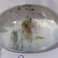 DSC01748