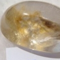 DSC01754