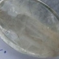 DSC01781