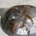 DSC01798