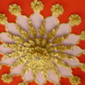 DSC01391
