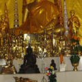 ภายในศาลาอเนกประสงค์ ณ วัดป่า 
ภ่ายเมื่อ ๑๐ ก.พ.๒๕๕๒