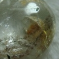 Image00009