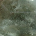 Image00011