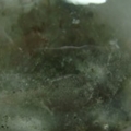 Image00012