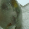 Image00016