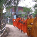 IMG 0243