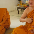 IMG 0313