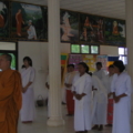 IMG 0502