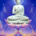 Celestial Buddha Wat Rong K