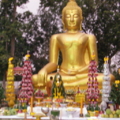 IMGP1234