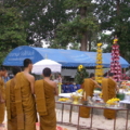 IMGP1243