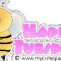 tuesday1