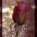 good night fr0025