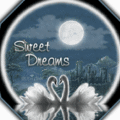 good night fr0032