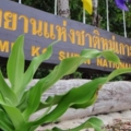 ให้รู้ว่ามาที่ไหน