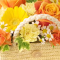FLOWER 9