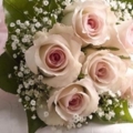 FLOWER 11