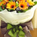 FLOWER 13