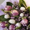 FLOWER 14