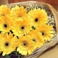 FLOWER 15