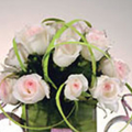 FLOWER 19