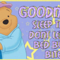 GOOD NIGHT - POOH