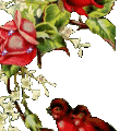 ROSE-BIRD