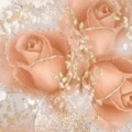 THREE ROSES