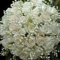 WHITE ROSE BOUGUEIT