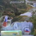 แฟ้มซิลค์โรส