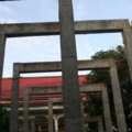 Picture 031