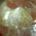 DSCN0559