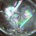 DSCN0915
