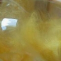 DSCN0437
