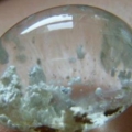 DSCN0056