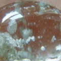 DSCN0058