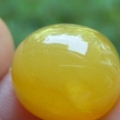 DSCN9298