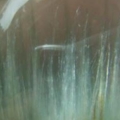 DSCN7160